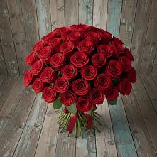 Букет 55 Красных роз Фридом #REPLACE_PRED# Стремилово