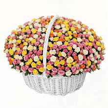 Премиум букет из: Розы в Стремилово