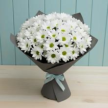 Букет цветов из:  Хризантемы #REPLACE_PRED# Стремилово