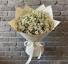 Букет цветов из:  Ромашки #REPLACE_PRED# Стремилово