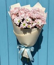 Букет цветов из:  Хризантемы #REPLACE_PRED# Стремилово