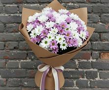 Букет цветов из:  Хризантемы #REPLACE_PRED# Стремилово