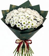 Букет цветов из:  Хризантемы #REPLACE_PRED# Стремилово