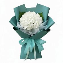 Букет цветов из:  Гортензия в Стремилово